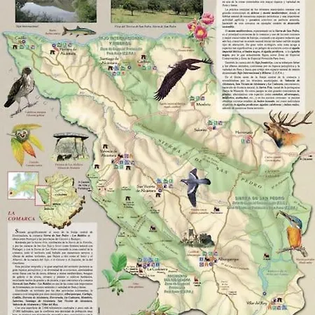 Alegria San Pedro (Caceres)