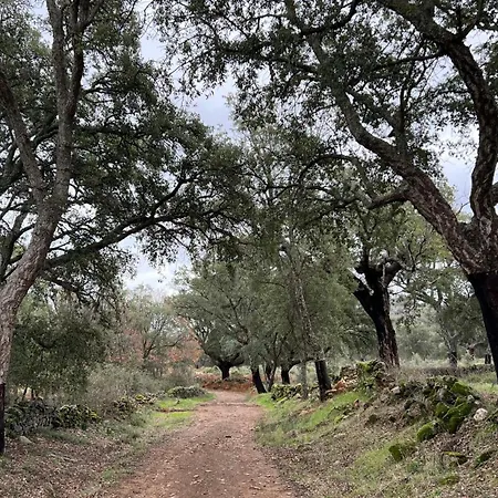 Alegria * San Pedro (Caceres)