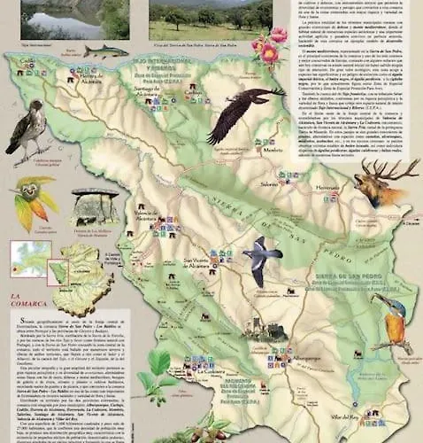 Alegria San Pedro (Caceres)