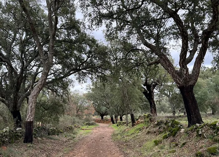 Alegria * San Pedro (Caceres)